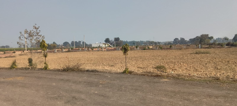  2 Bigha Residential Plot for Sale in Khair, Aligarh