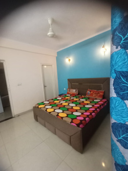 3.0 BHK Flats for Rent in Sushant Lok Phase III, Gurgaon