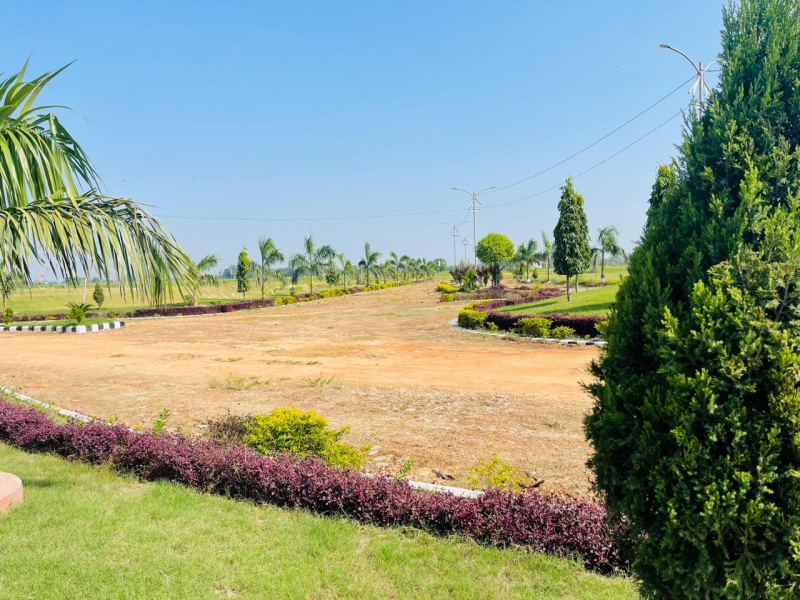  1000 Sq.ft. Residential Plot for Sale in Faizabad Road, Barabanki