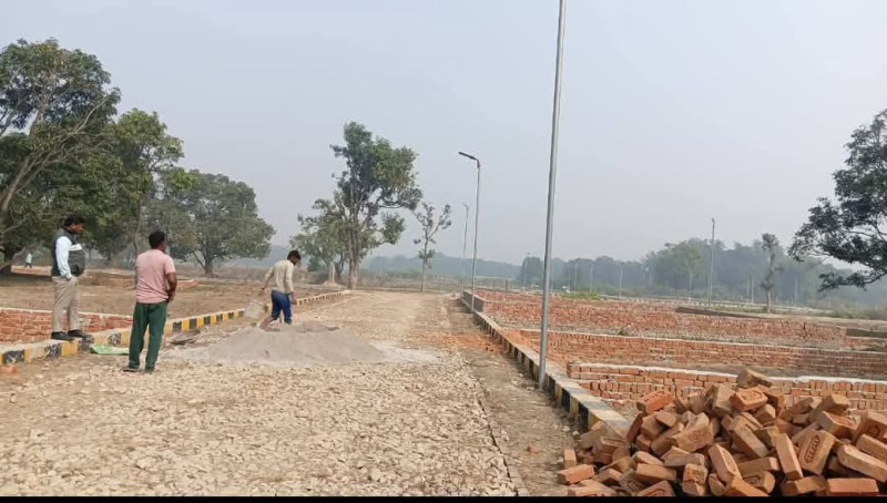 Palhari, Barabanki photo 3