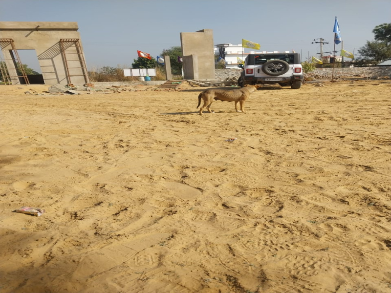  100 Sq.ft. Residential Plot for Sale in Kotputli, Jaipur