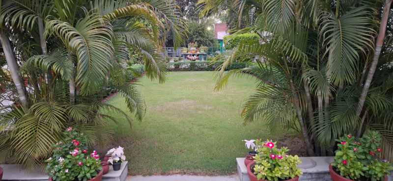 Property image for Model Town, Jalandhar