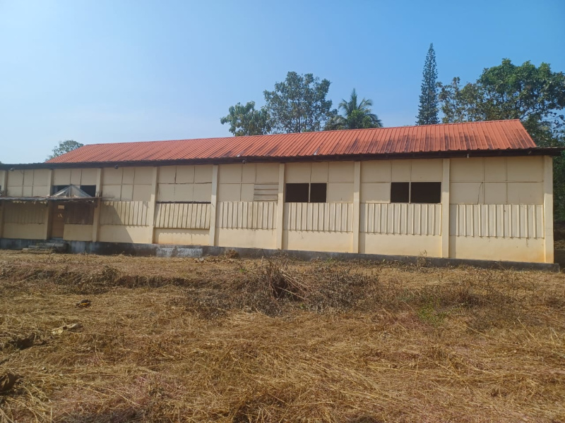 Taliparamba, Kannur photo 4