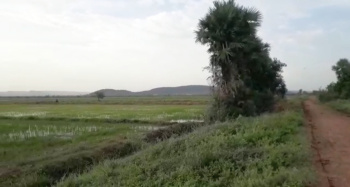  Agricultural Land for Sale in Gannavaram, Vijayawada