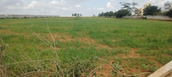 1 BHK Farm House for Sale in Bagalur, Bangalore