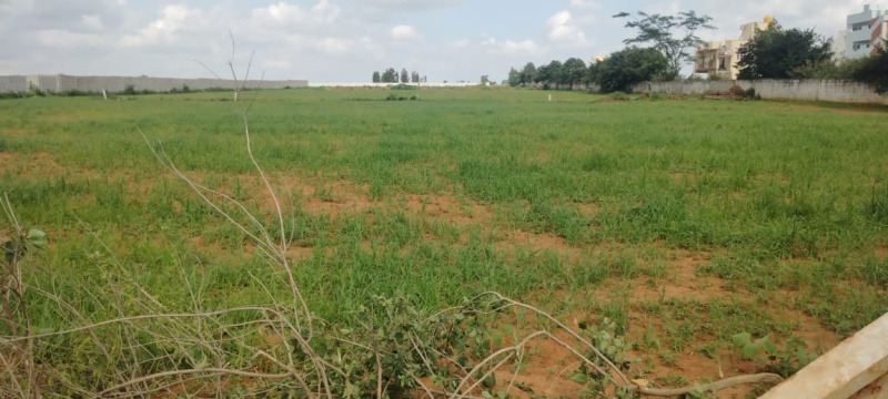 1 BHK 1 Acre Farm House for Sale in Bagalur, Bangalore