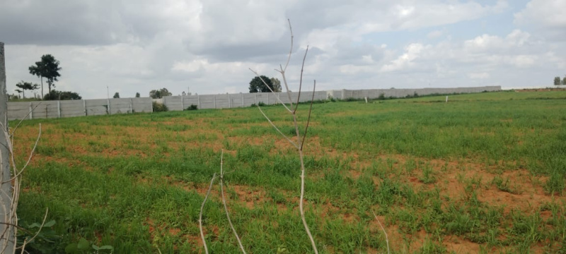 1 BHK 1 Acre Farm House for Sale in Bagalur, Bangalore