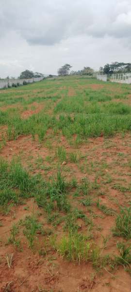 1 BHK 1 Acre Farm House for Sale in Bagalur, Bangalore