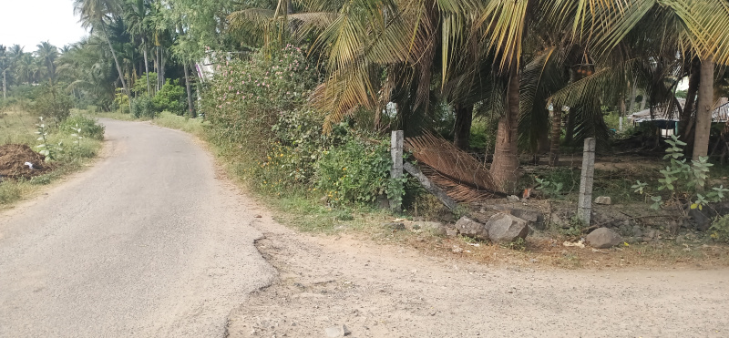  40075 Sq.ft. Agricultural/Farm Land for Sale in Ayothiyapattinam, Salem