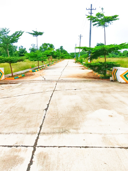  1200 Sq.ft. Residential Plot for Sale in Devanahalli, Bangalore