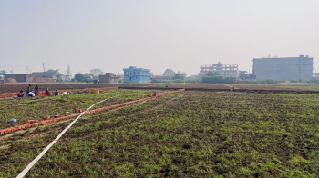  Residential Plot for Sale in Beldari Chak, Patna