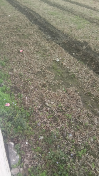  4 Hectares Residential Plot for Sale in Lansdowne, Pauri Garhwal