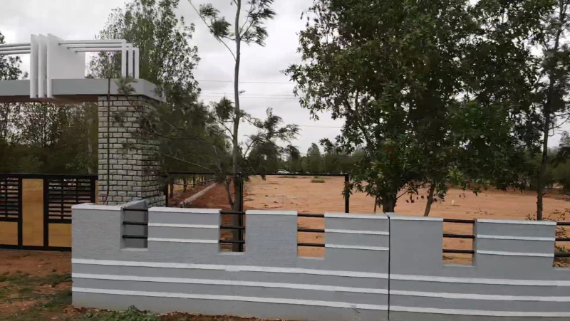  2400 Sq.ft. Residential Plot for Sale in Gauribidanur, Bangalore