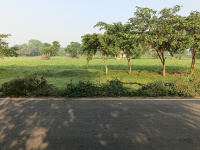  Agricultural Land for Sale in Hariyala, Kheda