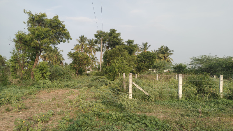  2400 Sq.ft. Residential Plot for Sale in Kalapatti, Coimbatore