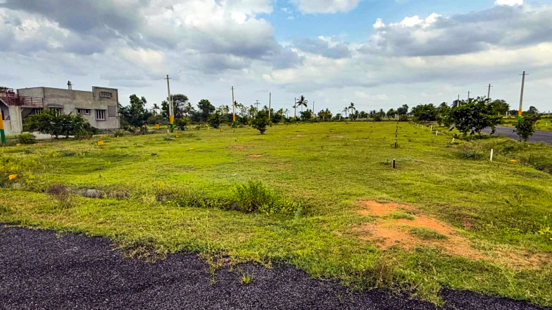  1200 Sq.ft. Residential Plot for Sale in Hindupur, Anantapur