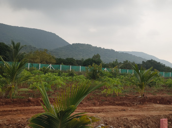 Agricultural Land for Sale in Natham, Dindigul