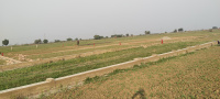  Residential Plot for Sale in Begampur, Patna