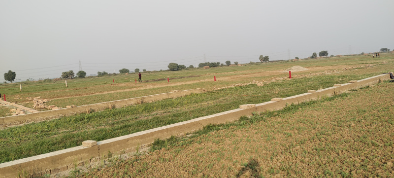  1200 Sq.ft. Residential Plot for Sale in Begampur, Patna
