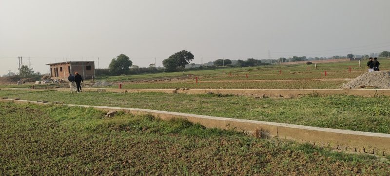  1200 Sq.ft. Residential Plot for Sale in Begampur, Patna