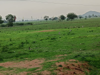  Residential Plot for Sale in Amaravathi, Guntur