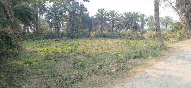  7200 Sq.ft. Residential Plot for Sale in Ghatshila, Jamshedpur