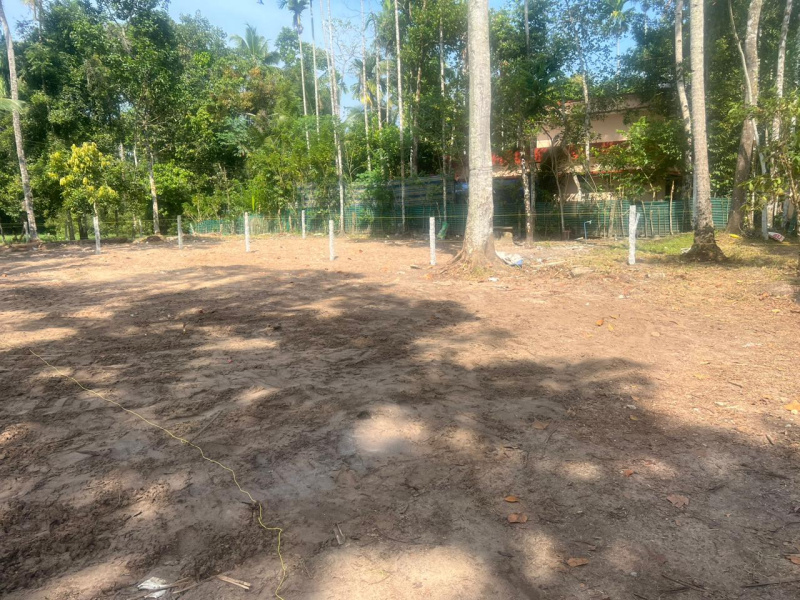 40 Cent Residential Plot for Sale in Haripad, Alappuzha