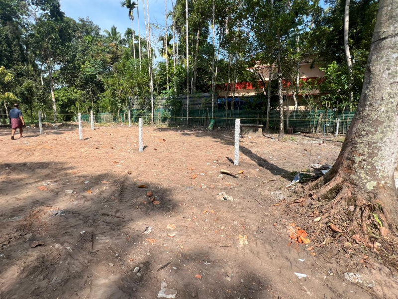  40 Cent Residential Plot for Sale in Haripad, Alappuzha