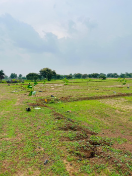  Residential Plot for Sale in Mandir Hasaud, Raipur