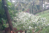  Residential Plot for Sale in Karungal, Kanyakumari