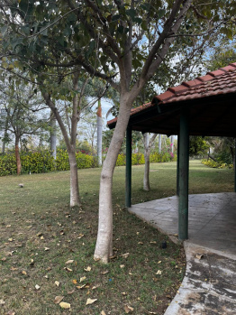  Commercial Land for Sale in Mulbagal, Kolar