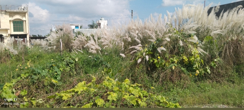  600 Sq.ft. Residential Plot for Sale in Jainagar, Rudrapur Udham, Udham Singh Nagar