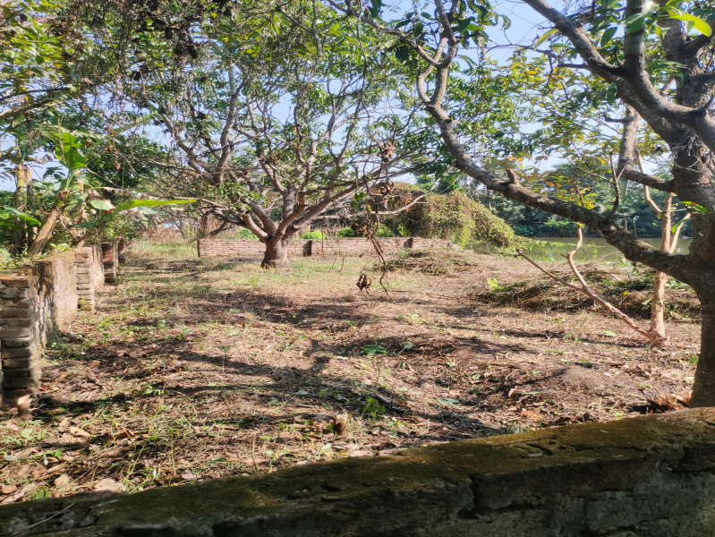  2124 Sq.ft. Residential Plot for Sale in Kankinara, Kolkata