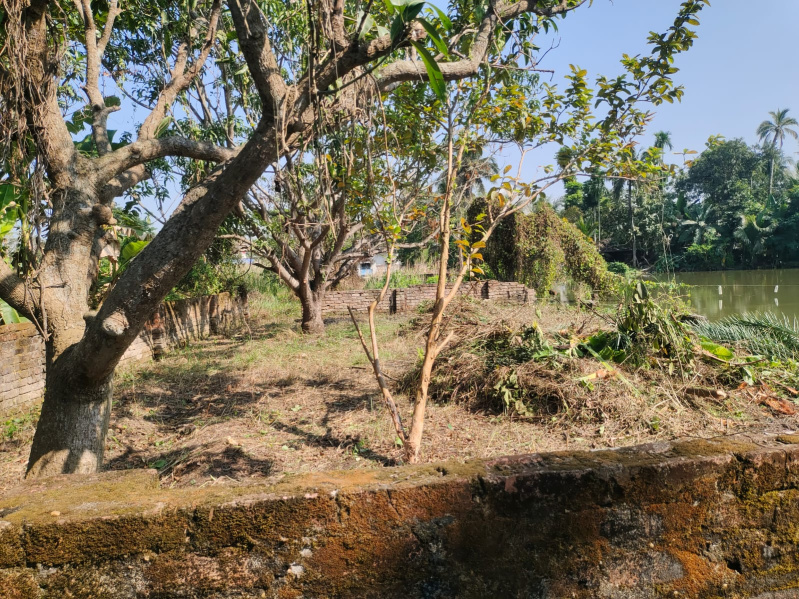  2124 Sq.ft. Residential Plot for Sale in Kankinara, Kolkata