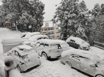 2 BHK Flat for Rent in Baltana, Chandigarh