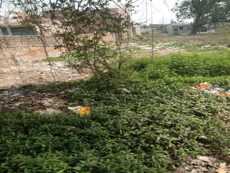  1361 Sq.ft. Residential Plot for Sale in Deokali, Faizabad