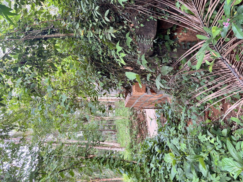 Nanminda, Kozhikode photo 4