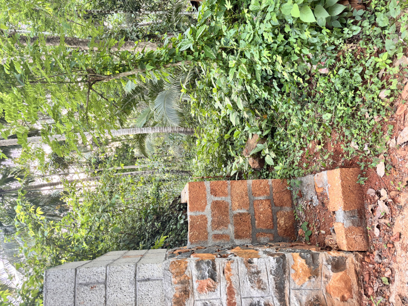 Nanminda, Kozhikode photo 3