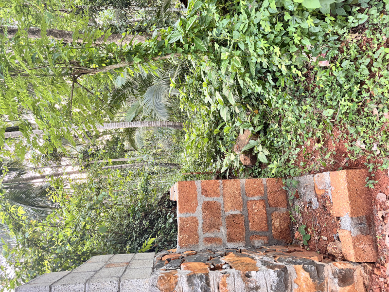 Nanminda, Kozhikode photo 5