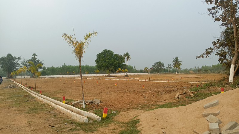 100 Sq. Yards Residential Plot for Sale in Burugupudi, Rajahmundry
