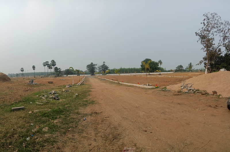  100 Sq. Yards Residential Plot for Sale in Burugupudi, Rajahmundry