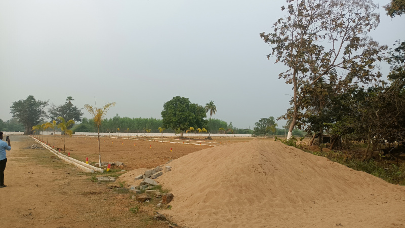  100 Sq. Yards Residential Plot for Sale in Burugupudi, Rajahmundry