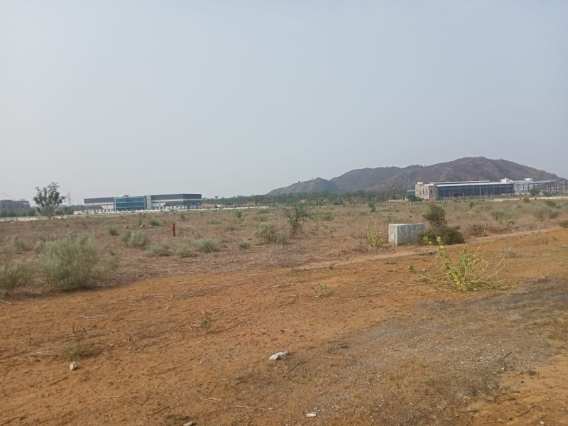 Bawal, Rewari photo 4