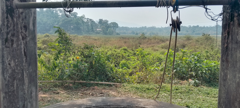  4 Acre Agricultural/Farm Land for Rent in Madikeri, Kodagu