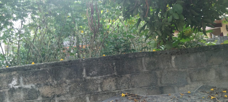  2400 Sq.ft. Residential Plot for Sale in Mm Layout, Bangalore