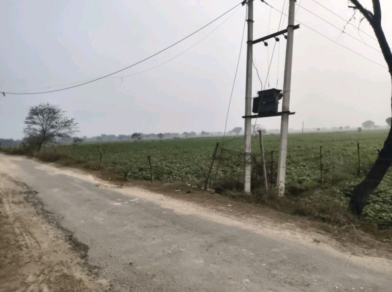  48438 Sq.ft. Agricultural/Farm Land for Sale in Mant, Mathura