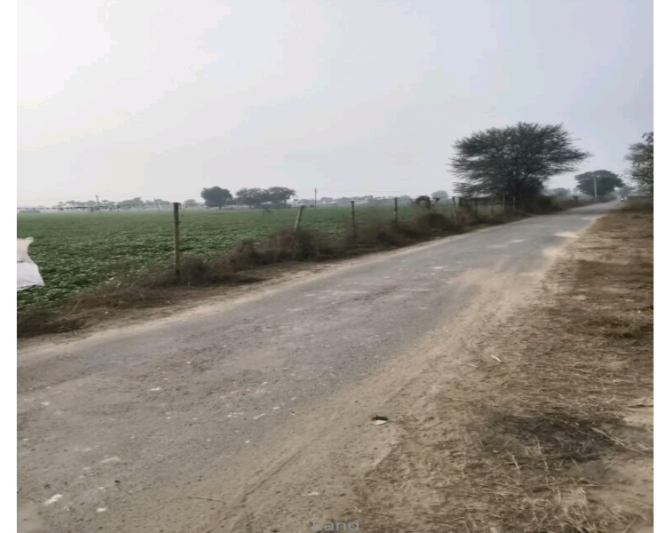  48438 Sq.ft. Agricultural/Farm Land for Sale in Mant, Mathura