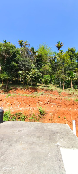  86 Cent Residential Plot for Sale in Parali, Palakkad