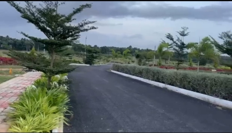  1200 Sq.ft. Residential Plot for Sale in Channarayapatna, Hassan