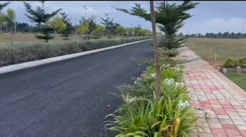  1200 Sq.ft. Residential Plot for Sale in Channarayapatna, Hassan